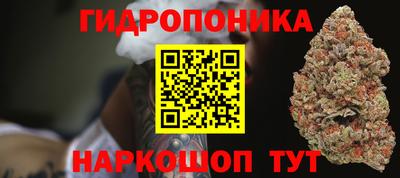 PSILOCYBIN Камышлов