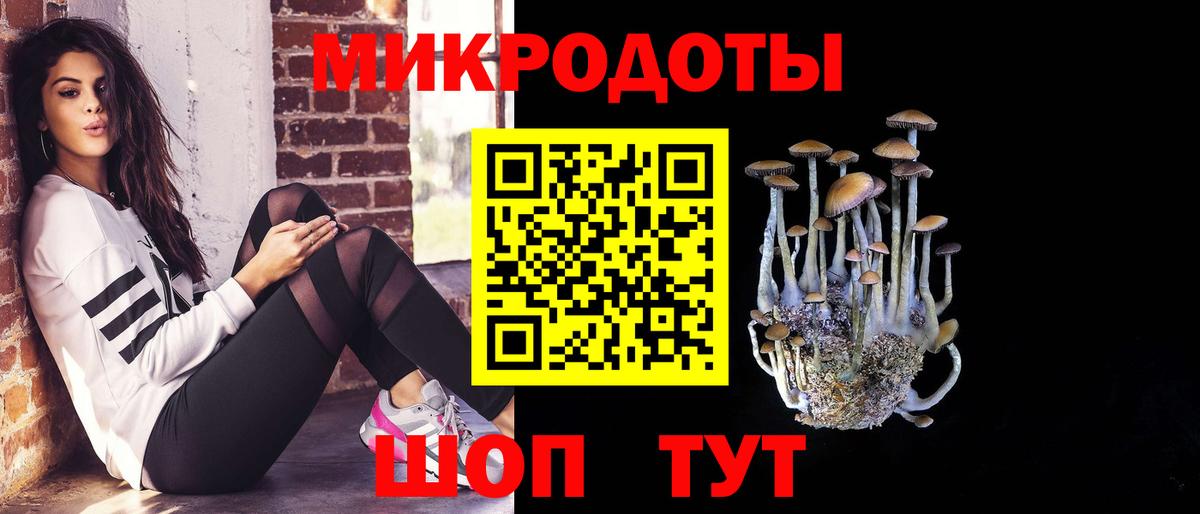Балашов  Галлюциногенные грибы Cubensis  Вход с VPN 