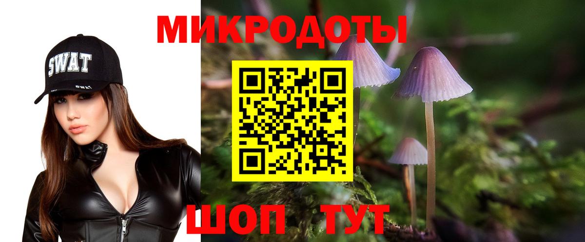 Псилоцибиновые грибы GOLDEN TEACHER Балашов